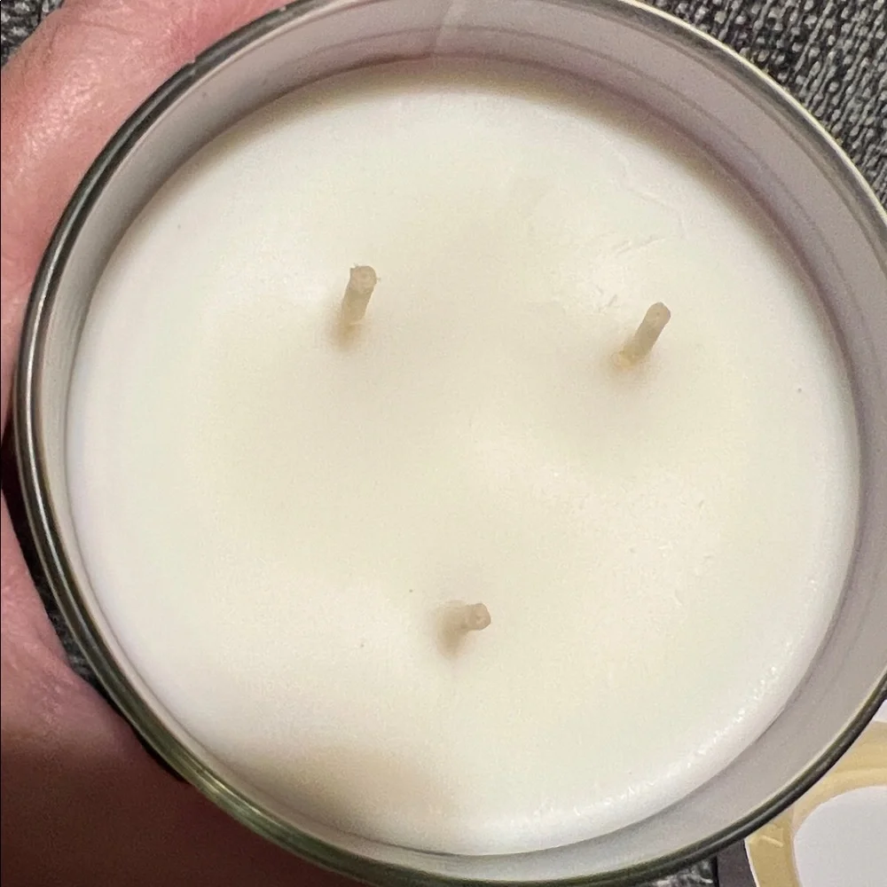 NWT Goose Creek Peanut Butter & Jelly 3-Wick Candle